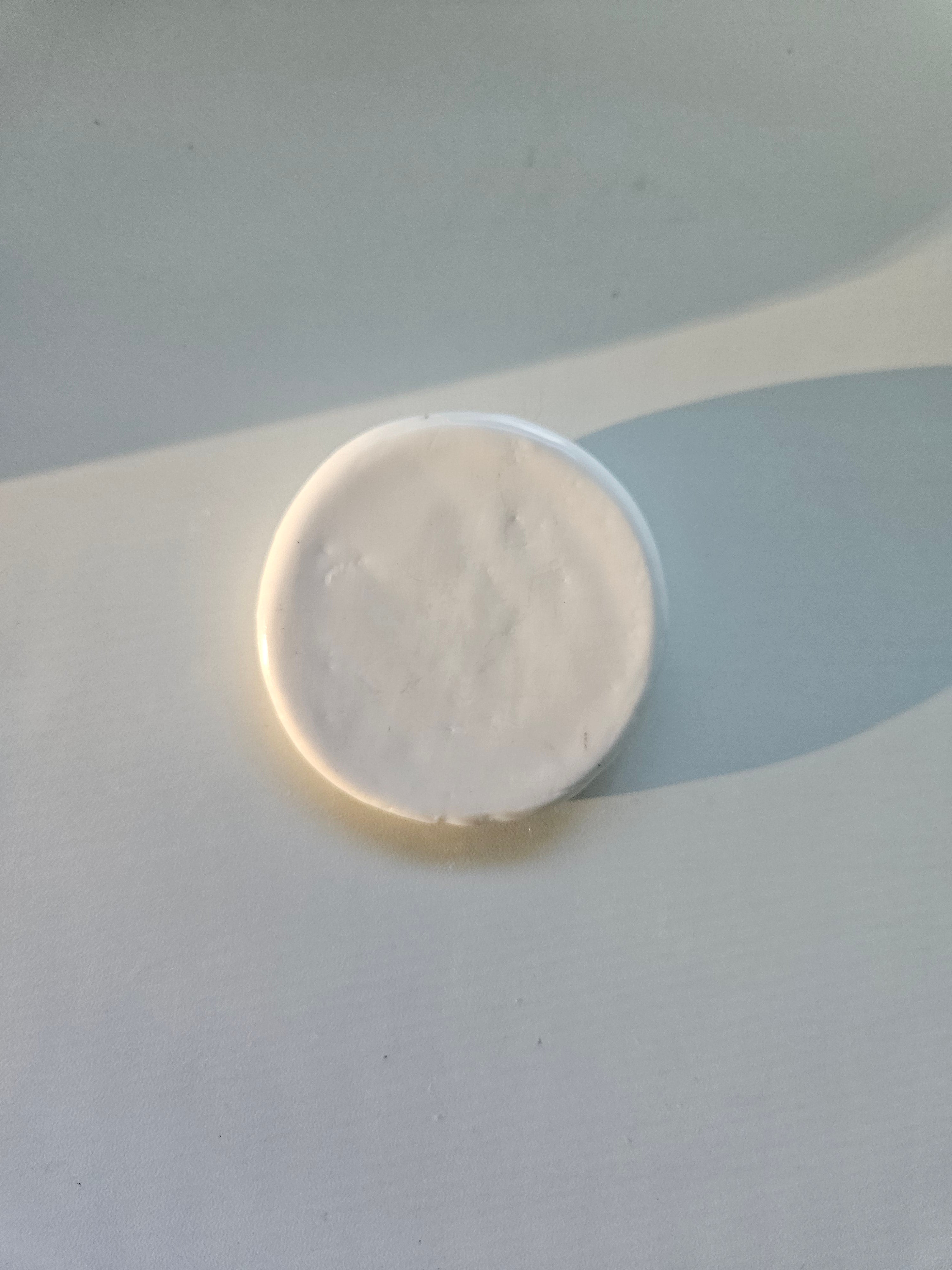 Seal With Fish Worry Stone